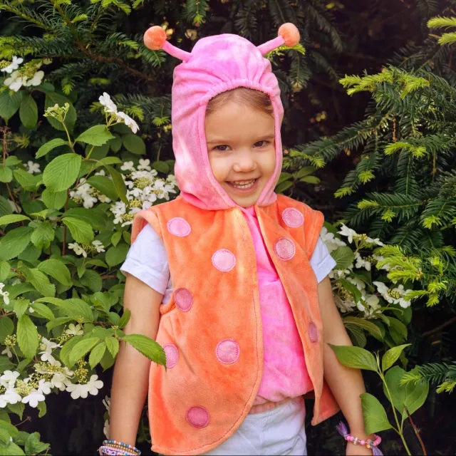 Souza Daisy Ladybird costume coccinella 2 anni rosa