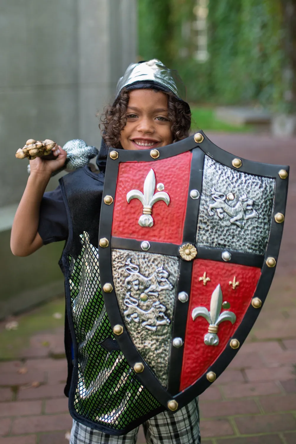 Great Pretenders Knight Shield scudo cavaliere spugna rosso oro