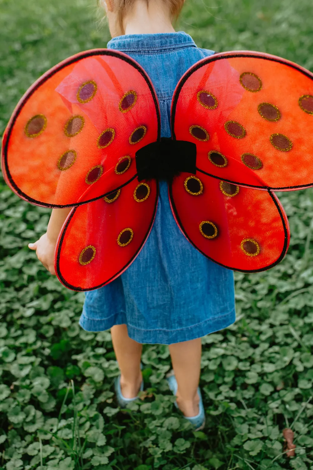 Great Pretenders Ladybug set ali coccinella 4-6 anni