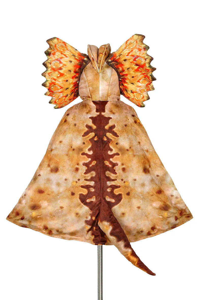 Souza Dilophosaurus mantello dinosauro marrone 4-6 anni