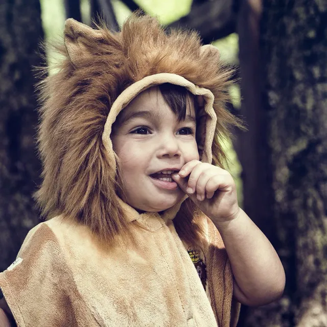 Souza! Lion Peke costume leone